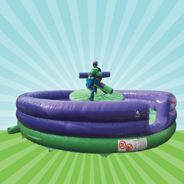 Rock n Roll Inflatable Game Hire