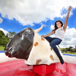 Rodeo Bull Inflatable Hire